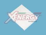 AP XENERGY X10720 - FILTRO HABITÁCULO FIAT GRANDE PUNTO'05> AD.55702456